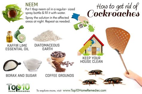 How to Get Rid of Roaches .